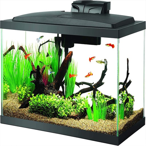 10-gallon-statrter-kit-complete