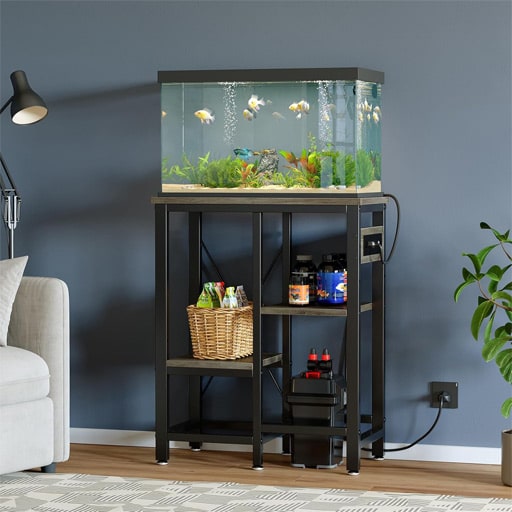 10-gallon-fish-tank-stands