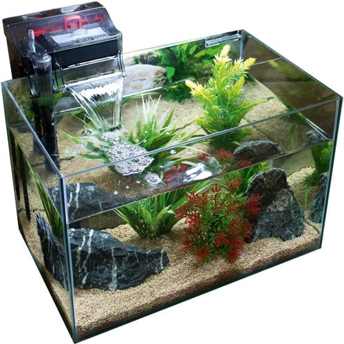 hob-filter-on-aquarium