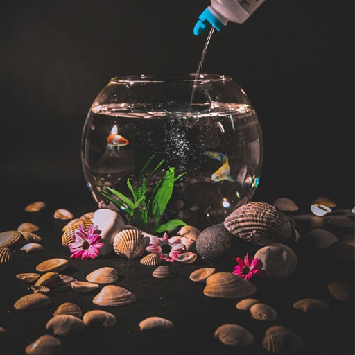 how-to-bring-aquarium-ph-down-easy