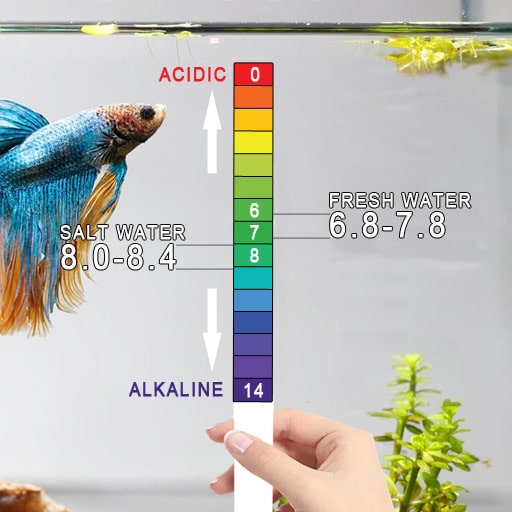 how-to-bring-aquarium-ph-down