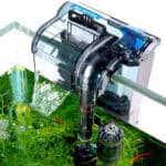 what-are-the-best-aquarium-filters-2