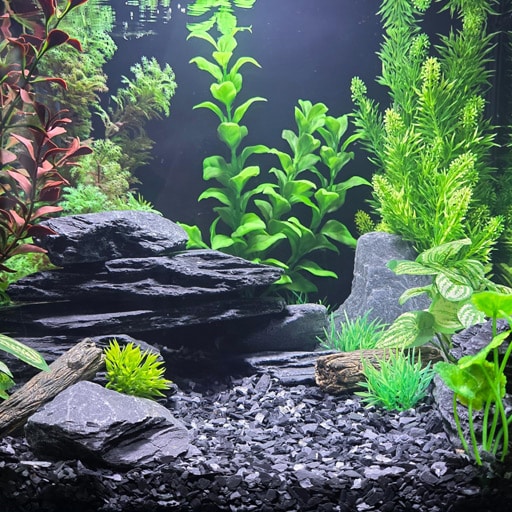 How-Much-Aquarium-Gravel-Do-I-Need-MAIN
