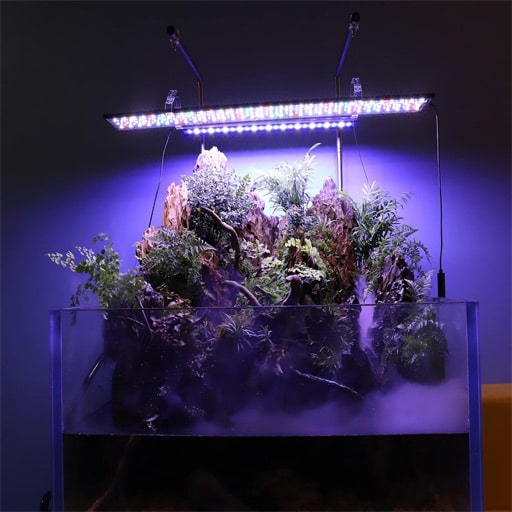 Best-Fish-Tank-Light-for-Plants-main-fishtankfaq.com