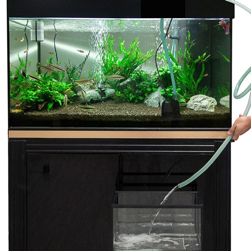 best-pump-for-aquarium-water-changes-main