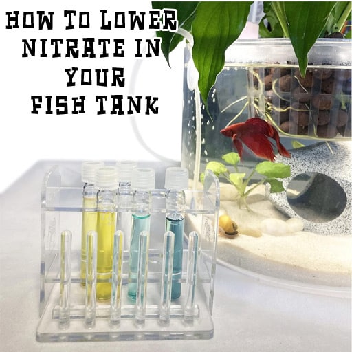 how-to-lower-nitrate-in-fish-tank-main-fishtankfaq.com
