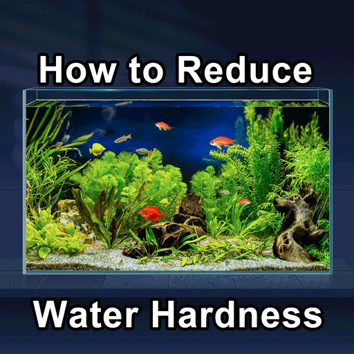 how-to-reduce-hardness-in-aquarium-water